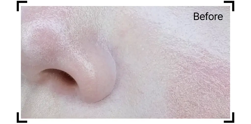 [1+1한정기획] 바이오던스 포어 퍼펙팅 콜라겐 펩타이드 세럼 30ml 더블 기획 상세페이지 15